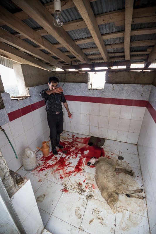 фото превью