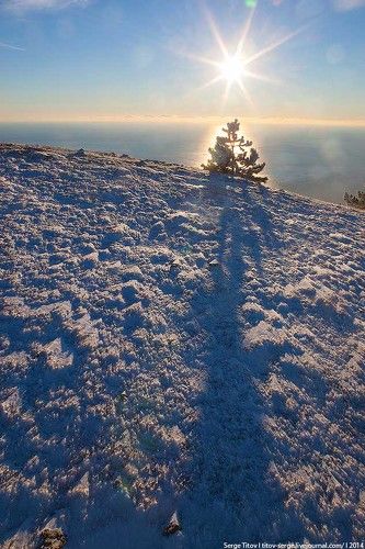 Холодное утро