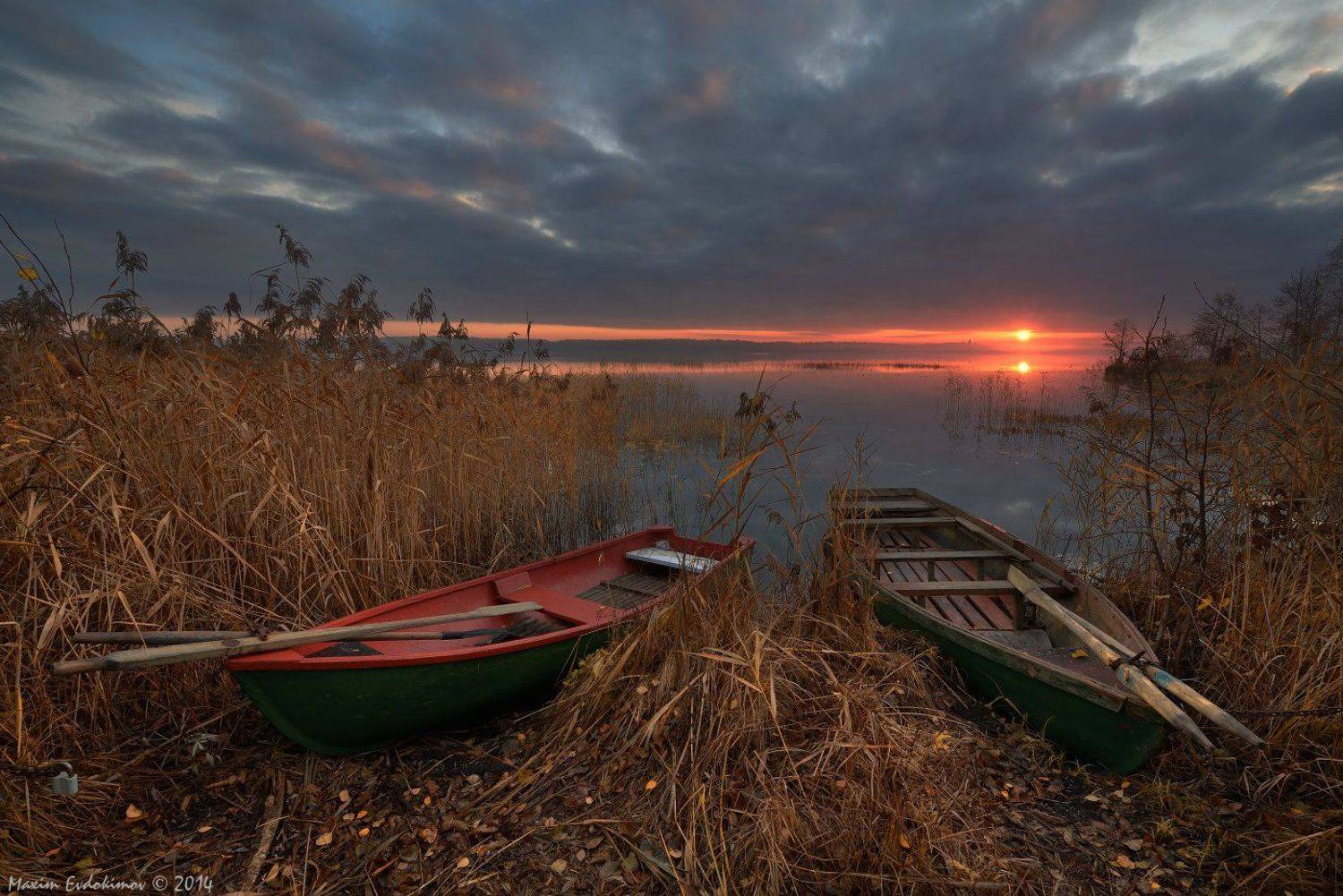 , Максим Евдокимов