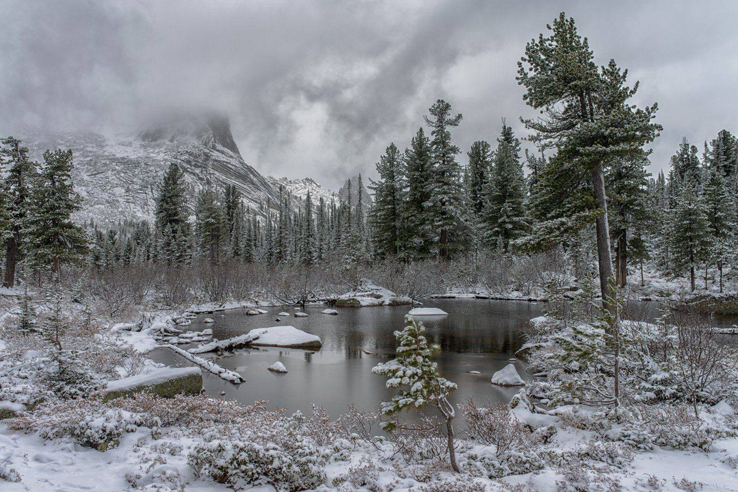 , Дмитрий Дубиковский