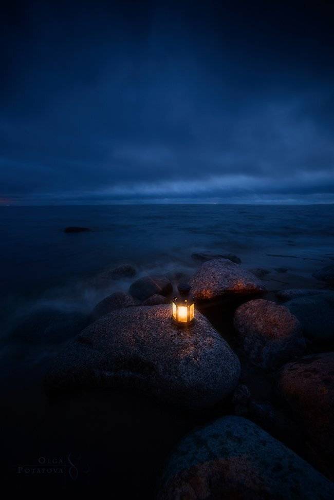 , Степаненко Ольга