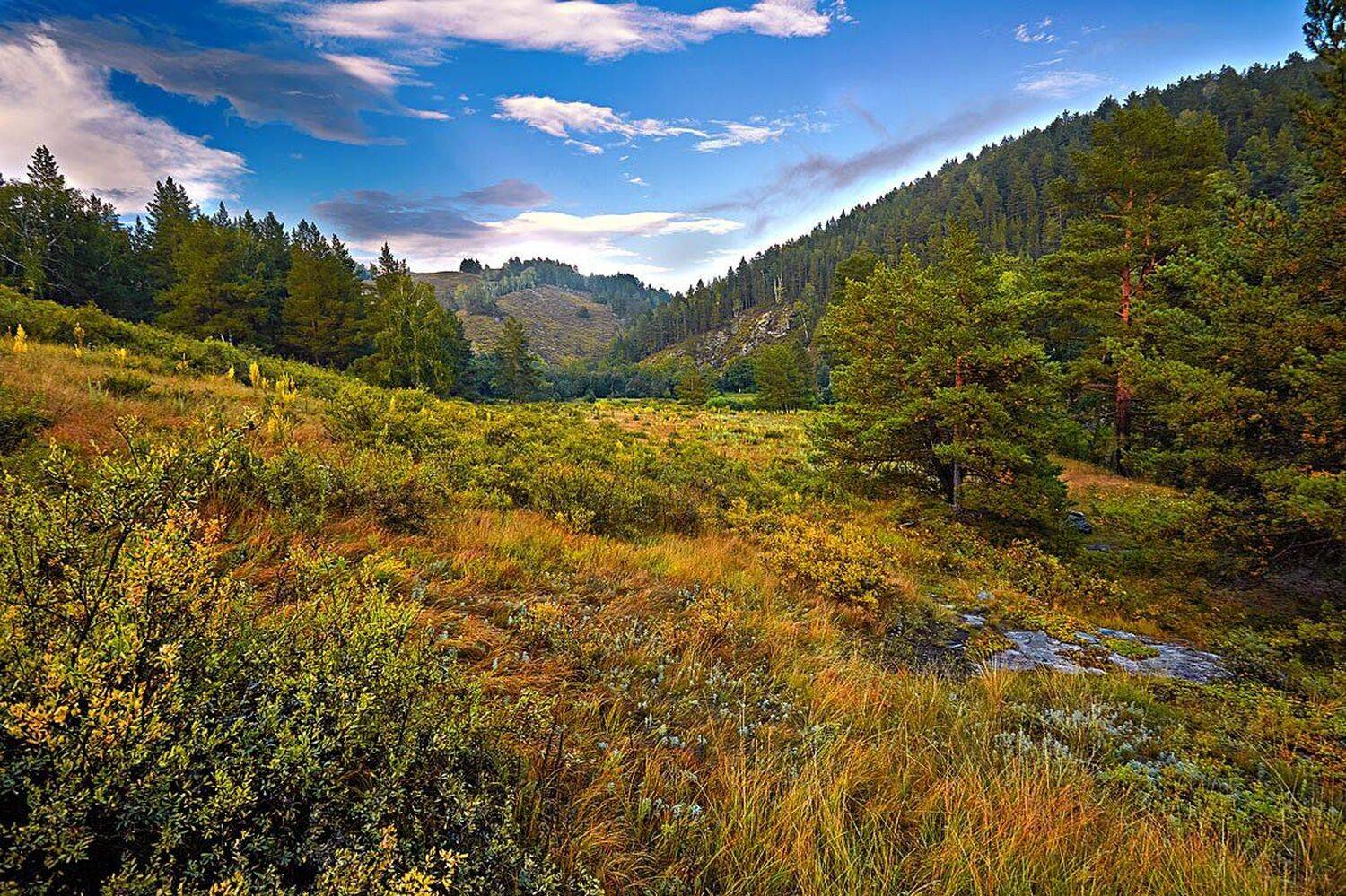 башкирия пейзаж, Качурин Алексей