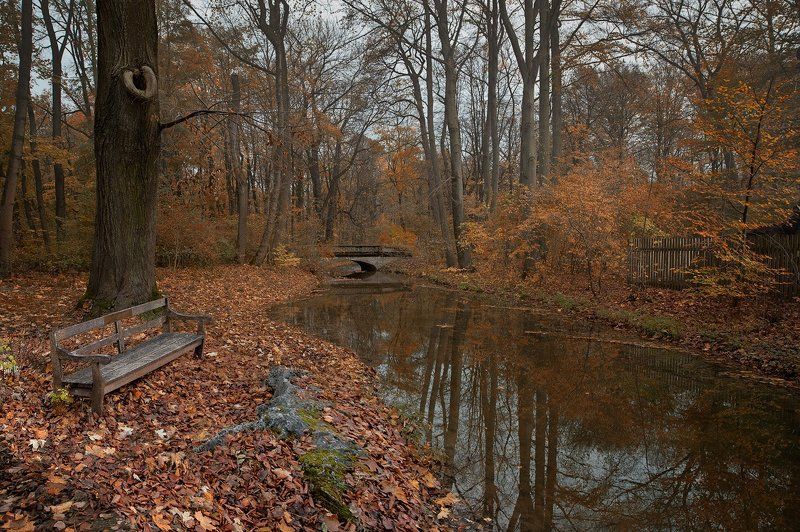 Послушать тишину осени.... фото превью