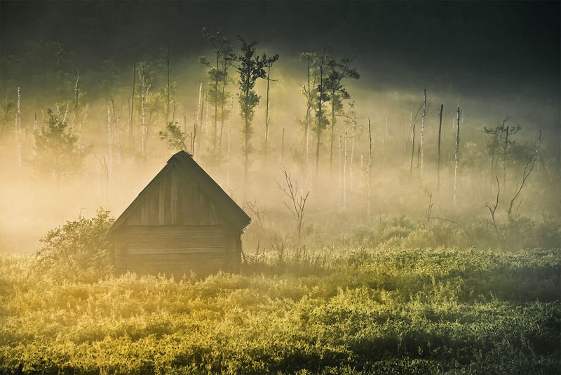 Где-то на окраине фото превью