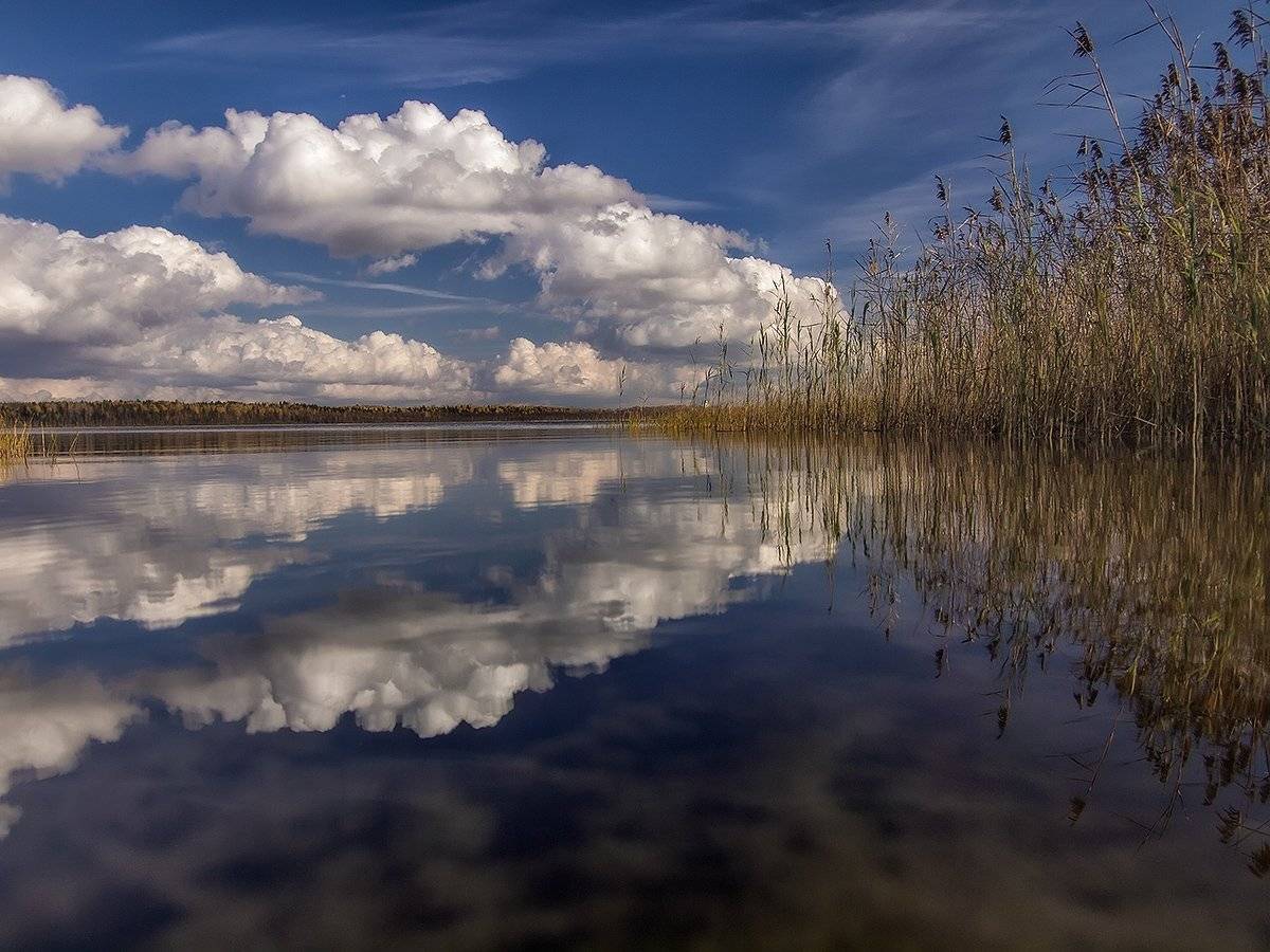 , Марина Брыдня