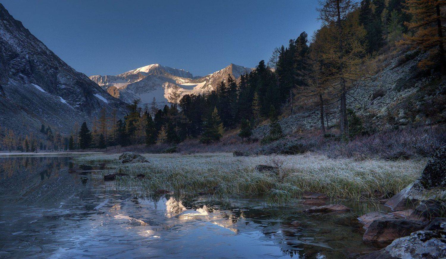 , Алексей Родак