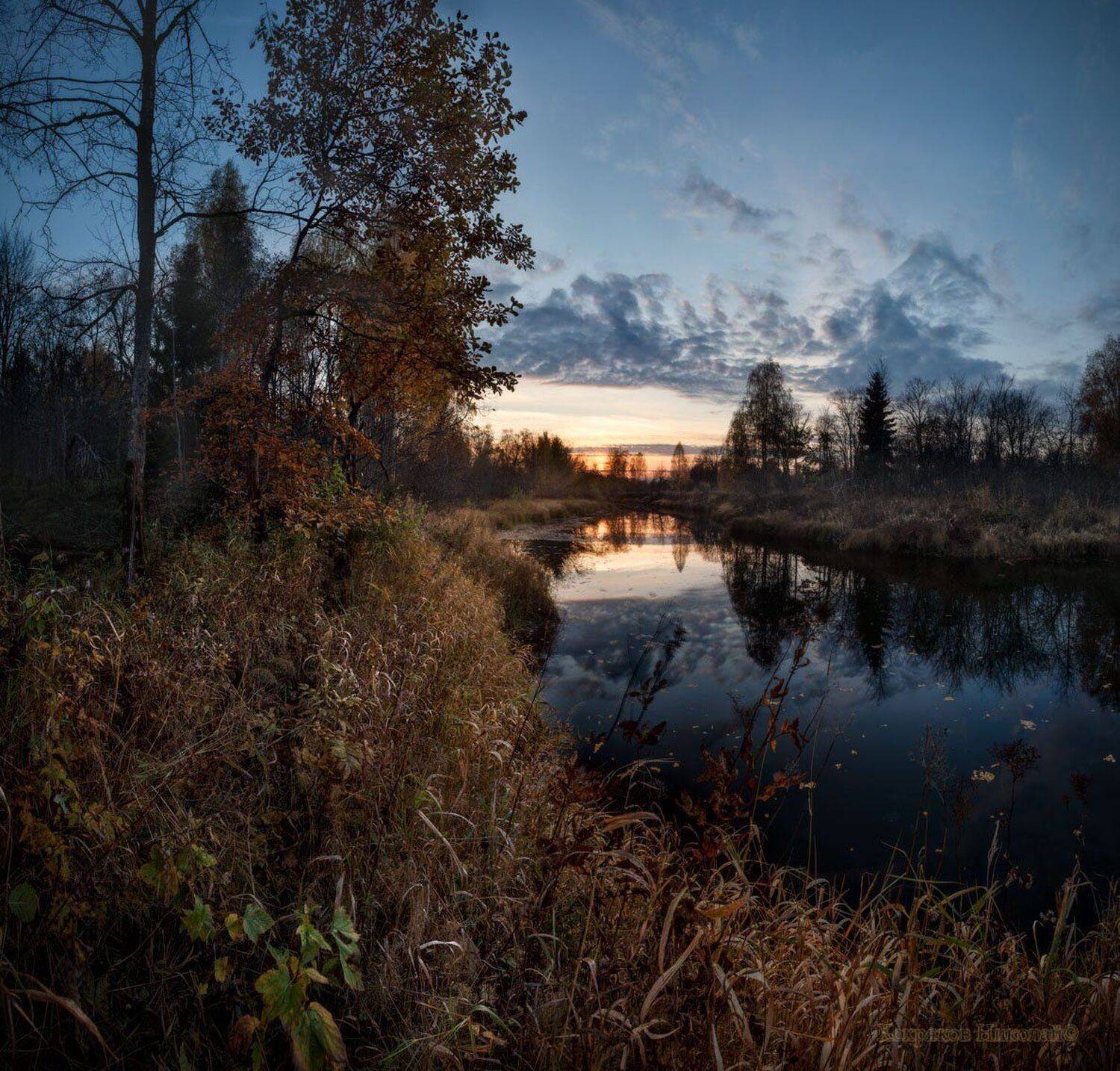 , Хохряков Николай