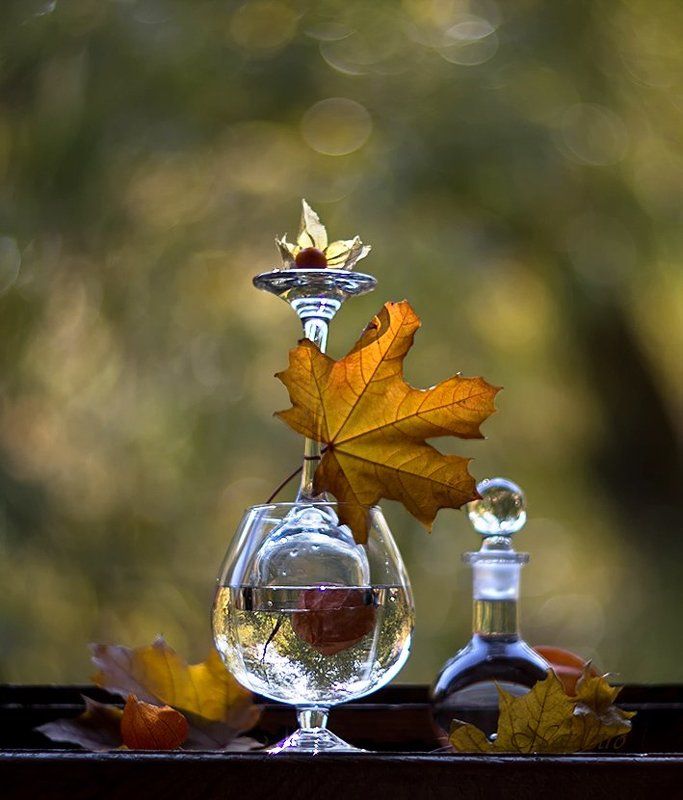 Напиток осени фото превью