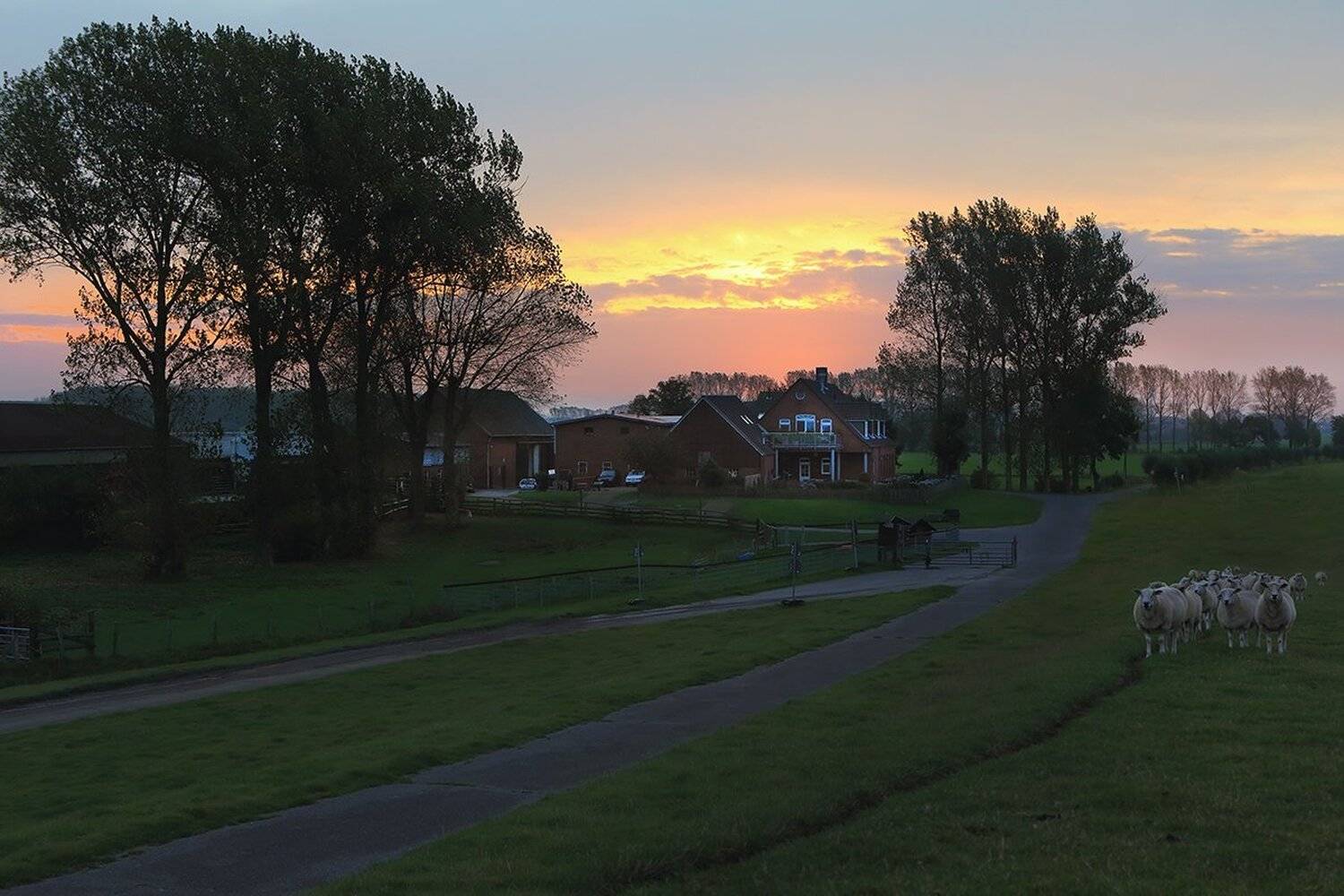 , Игорь Дубровский