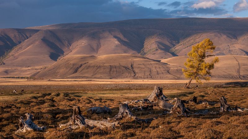 Жизнь фото превью