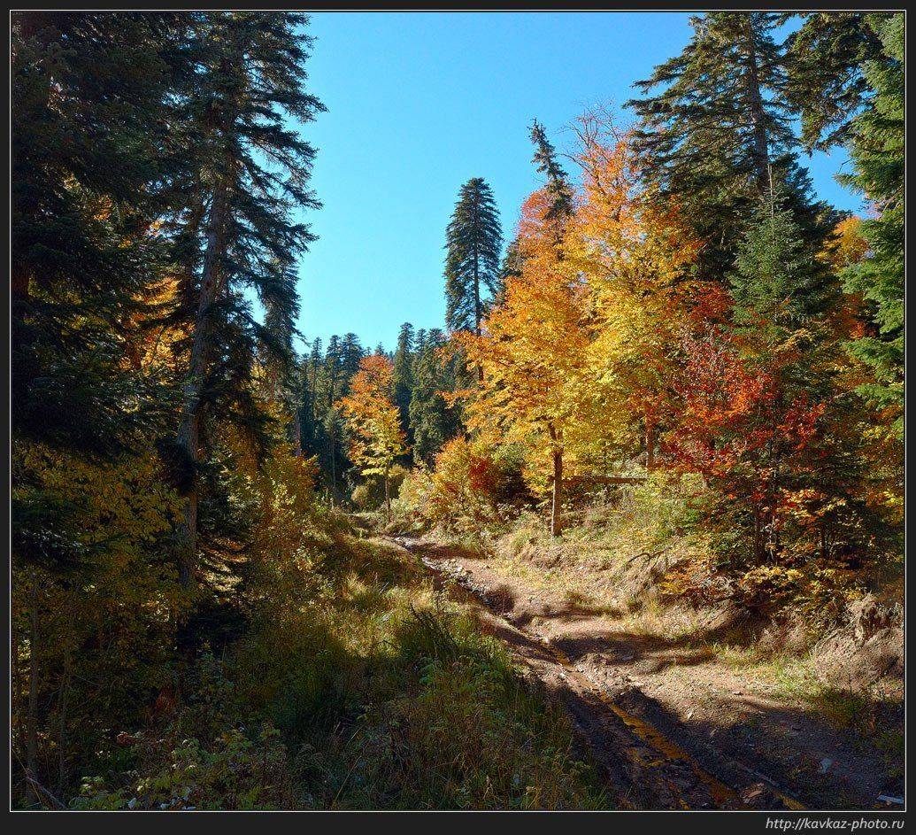 архыз осень, Николай Стюбко