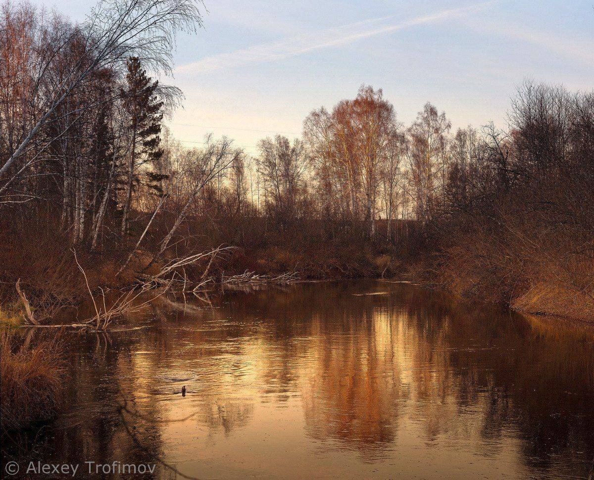 , Алексей Трофимов