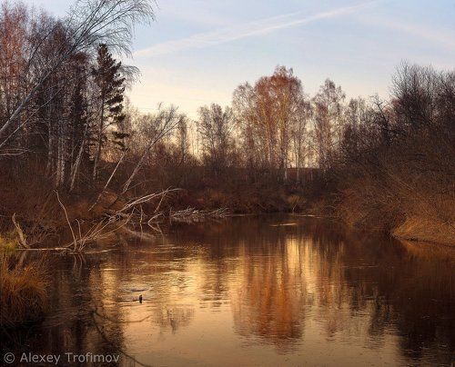 Золото октября