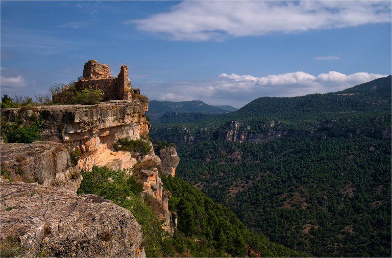 ... фото превью