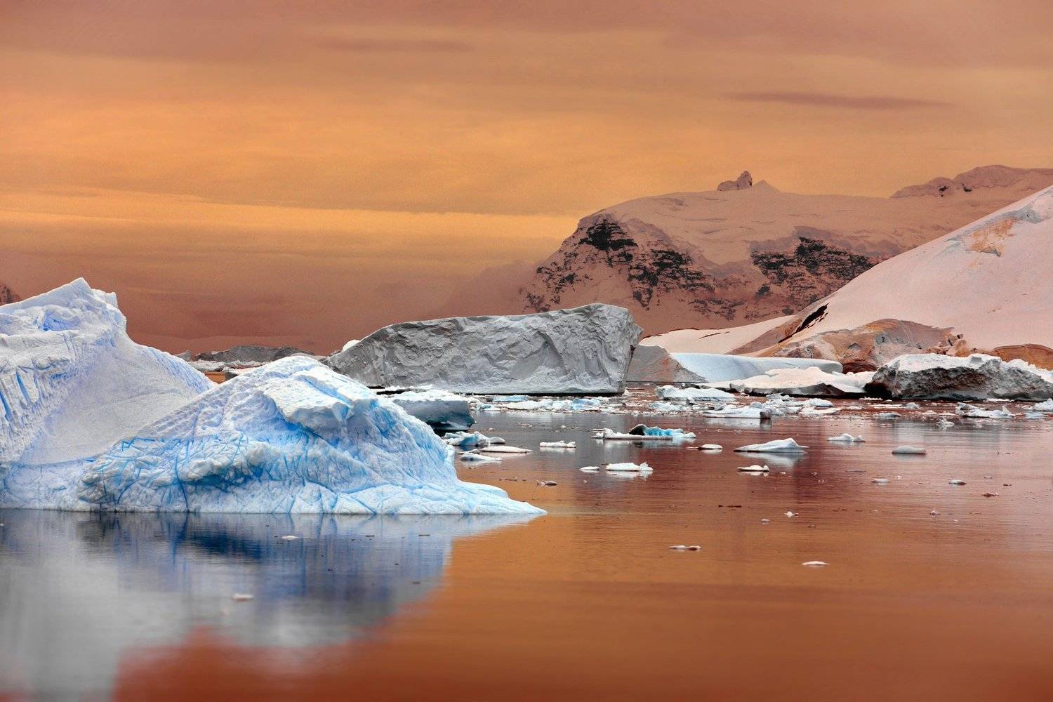 , Александр Перов