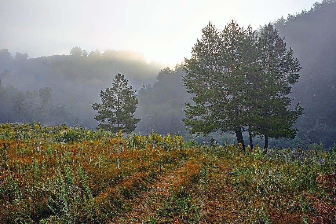 башкирия, Качурин Алексей