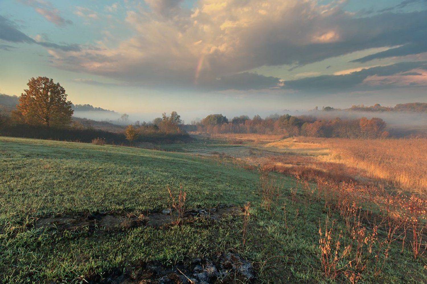 , Петр Антонович