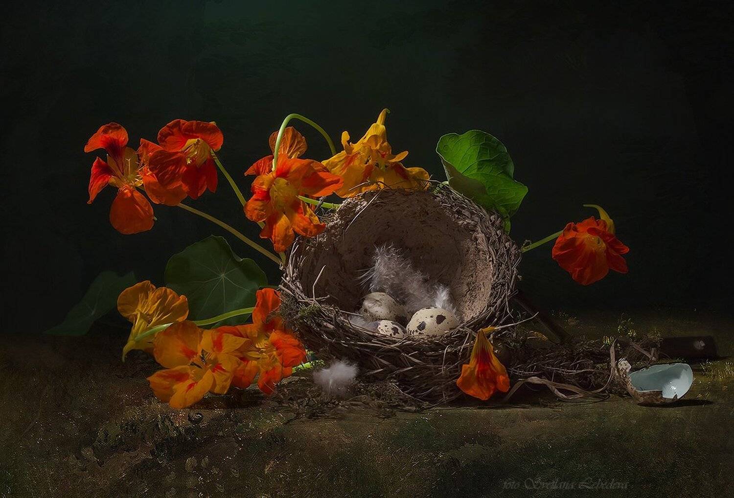 , Светлана Л.