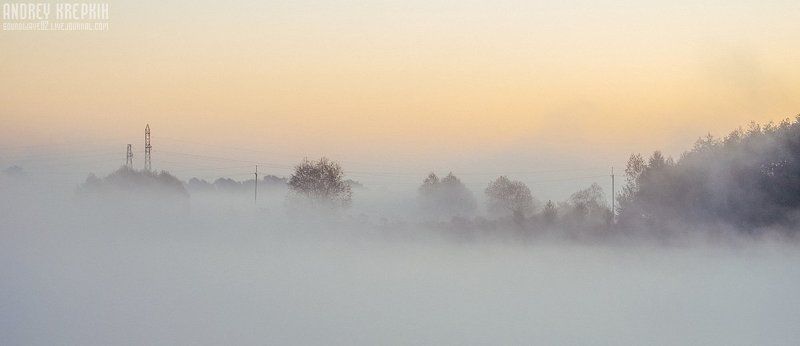 Деревья, Поле, Природа, Рассвет, Солнце, Трава, Туман Туманная велопрогулка по Буче фото превью
