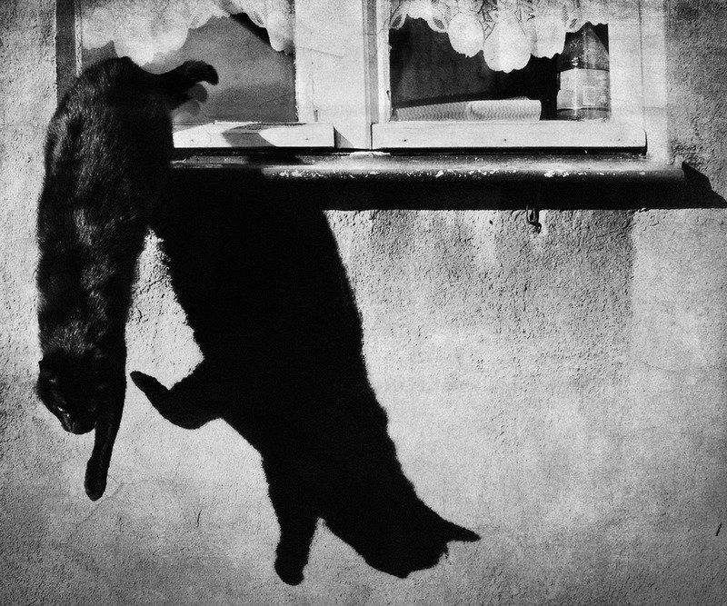 . фото превью