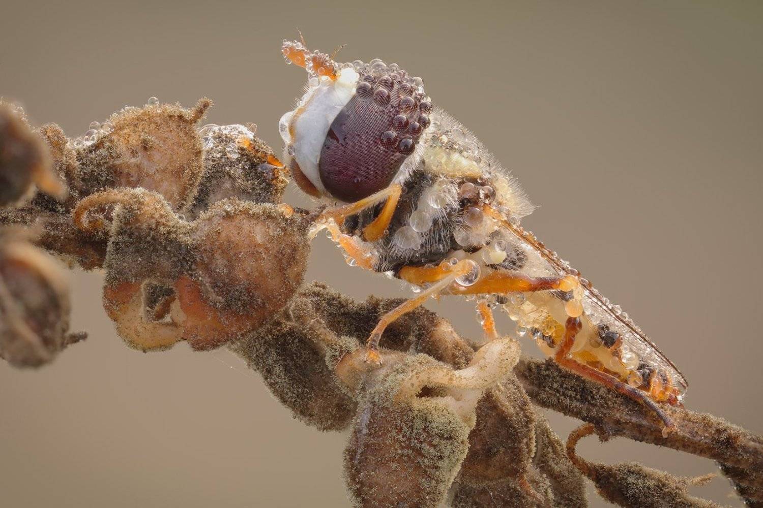 , Вадим Ходаковский