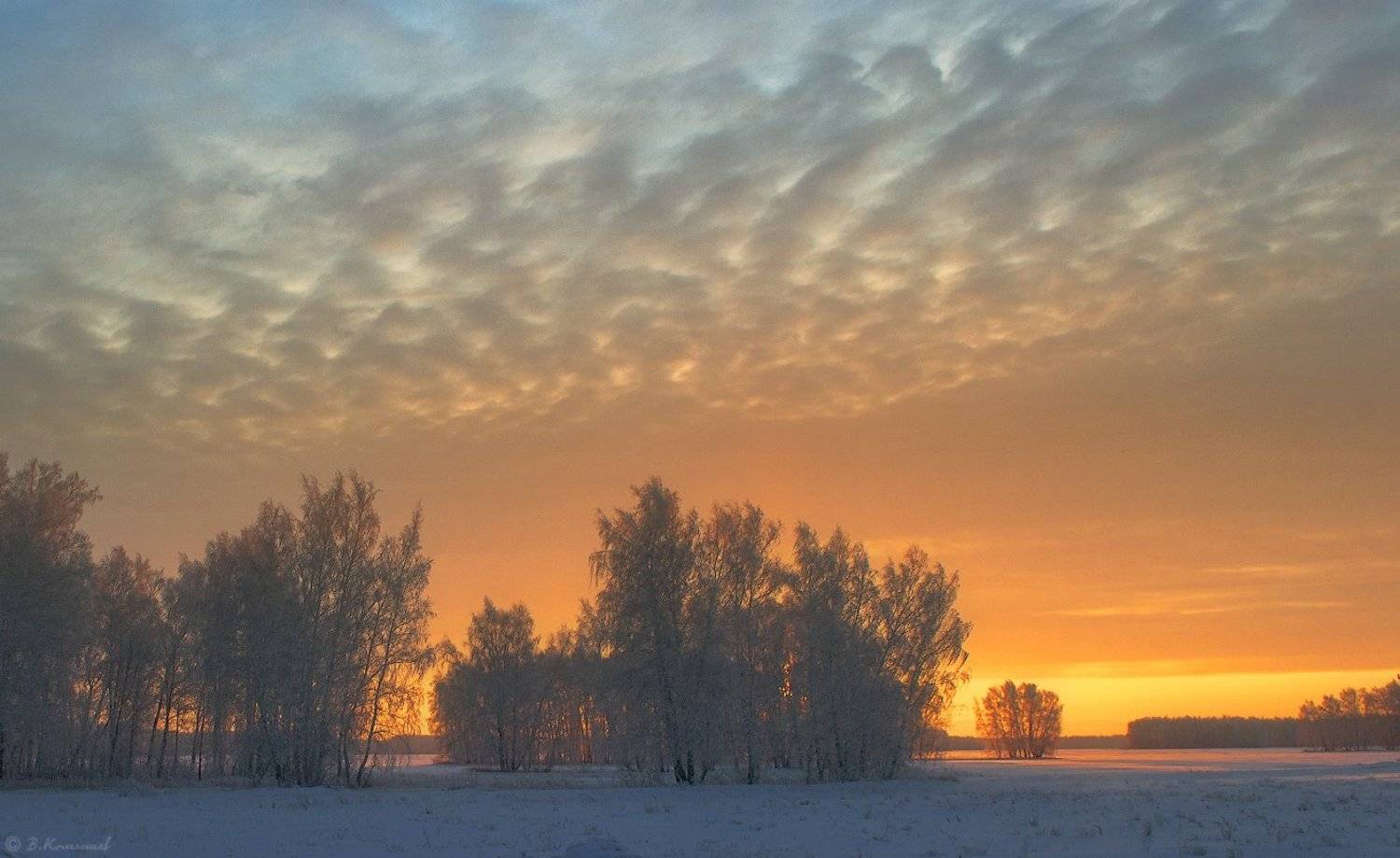 , Владимир Комышев