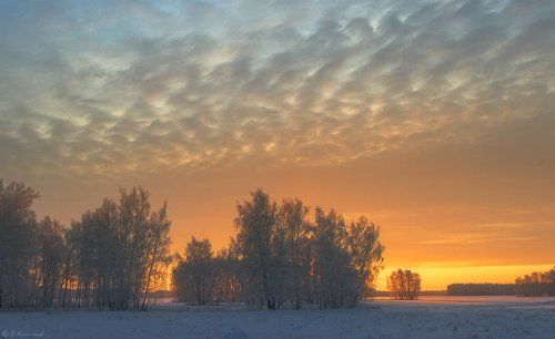 И над лесом полосой лучистой зарево алеет колдовско...