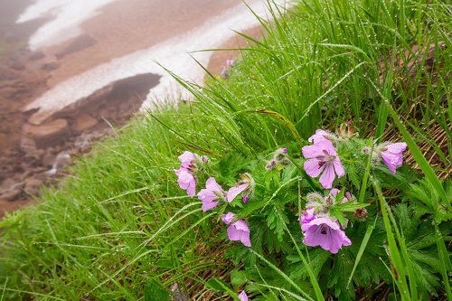 Жизнь на грани