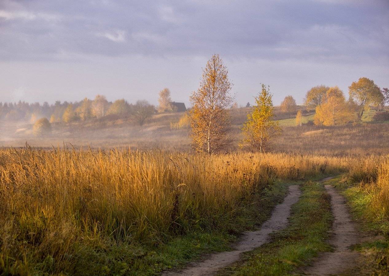 , Марина Брыдня