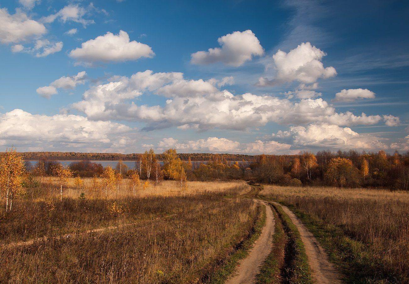 , Владимир Перепечаев