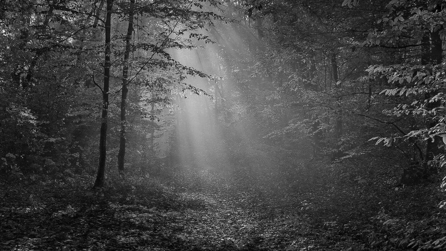 , Gabriel Prescornita