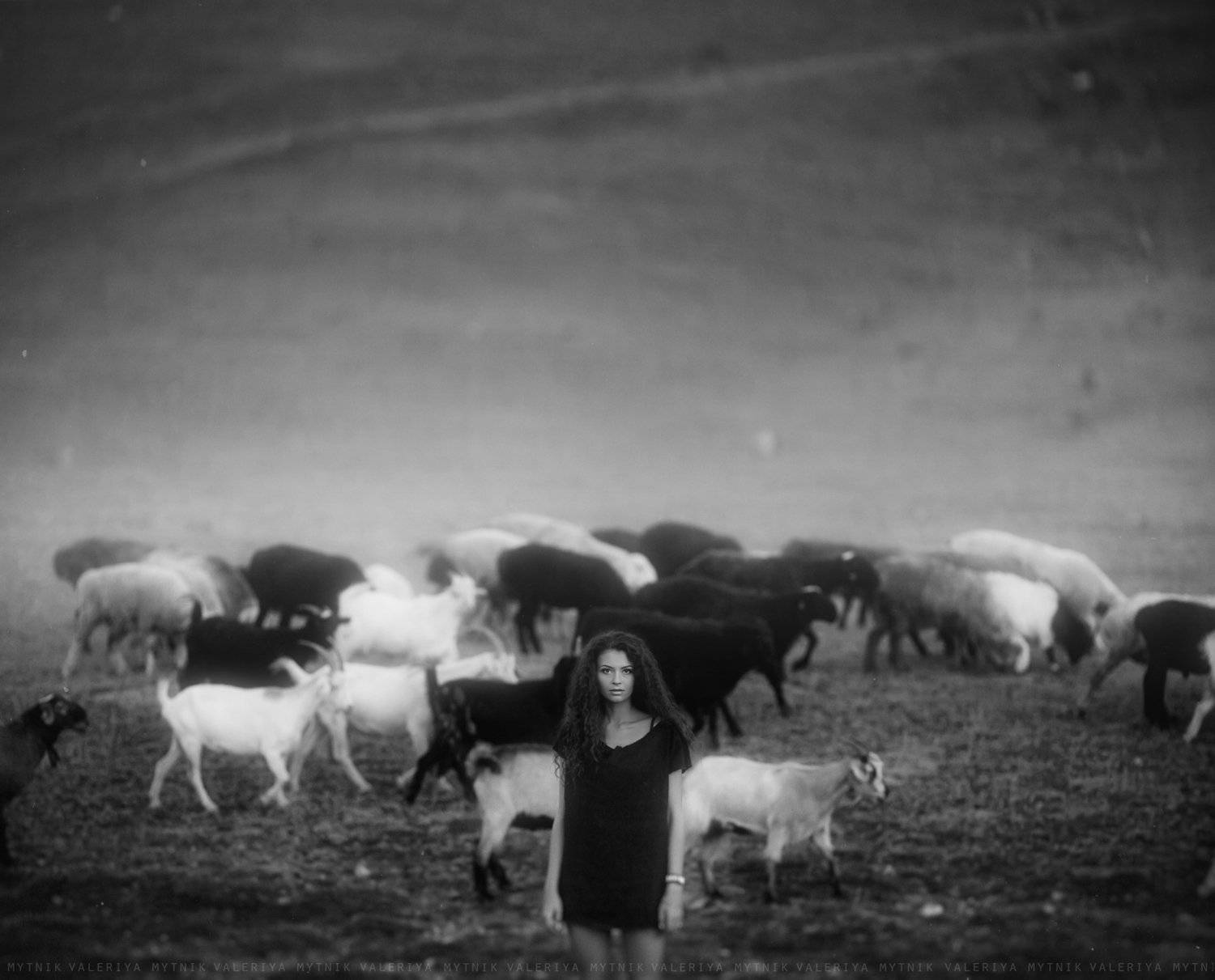 , Мытник Валерия