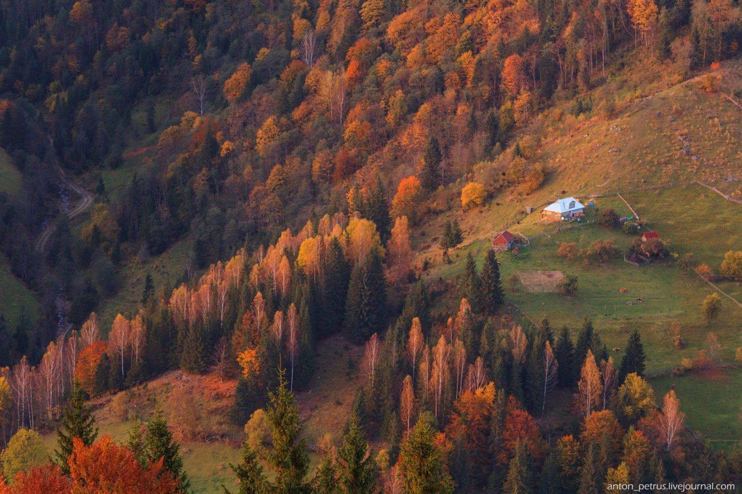 , Антон Петрусь