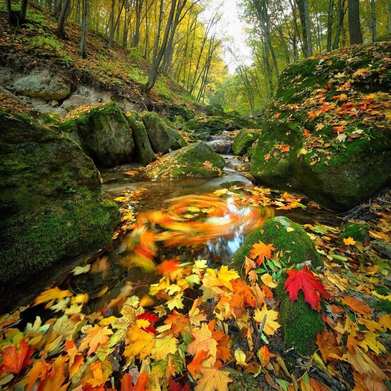 *** фото превью