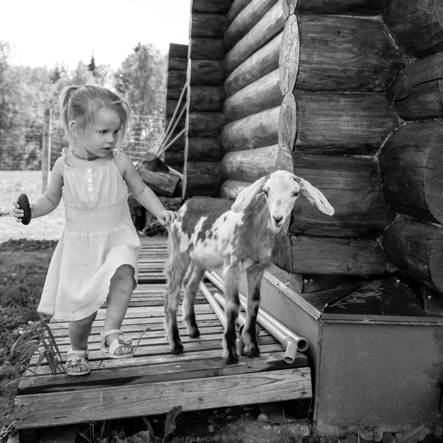 , Alexander Shilov