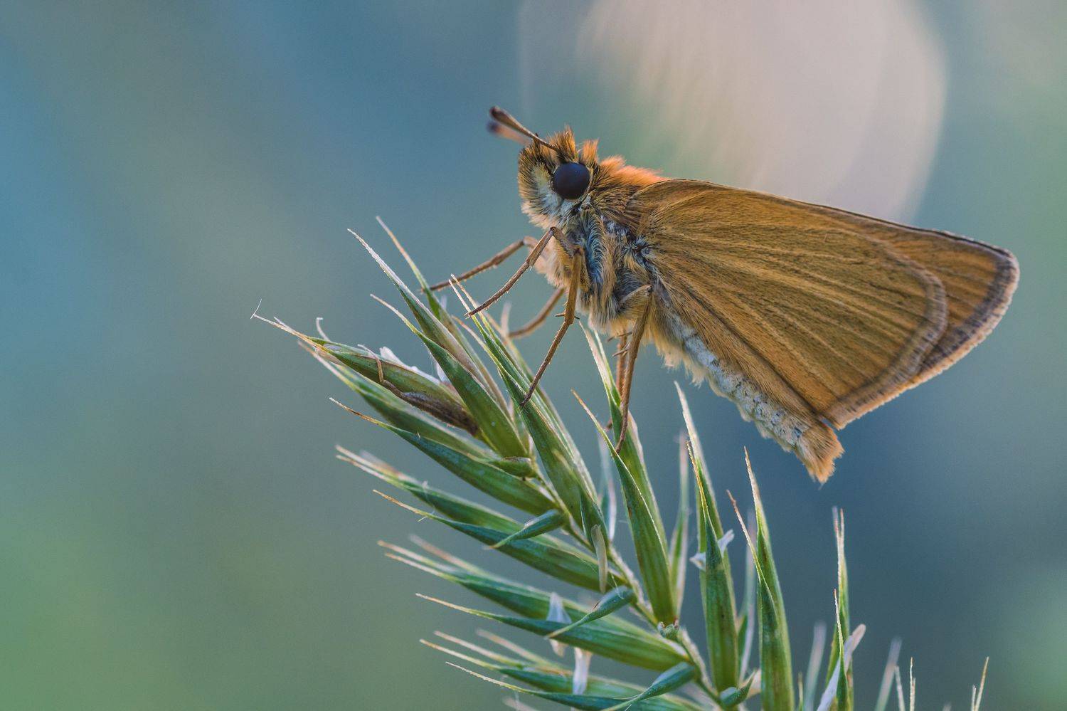 , Роман Зайцев