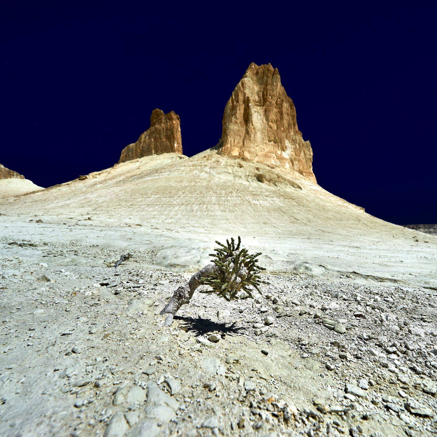 пейза казахстан босжира, Пономарев Андрей