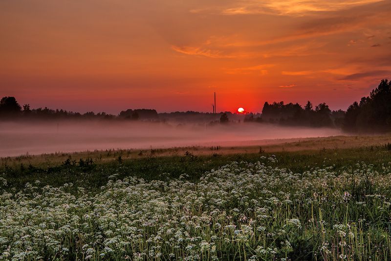 закат,дорога,туман Придорожный закат. фото превью