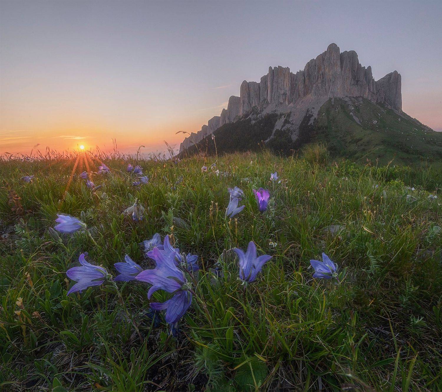 западный кавказ, большой тхач, колокольчик альпийский, закат, лето июнь, Мысливцев Николай