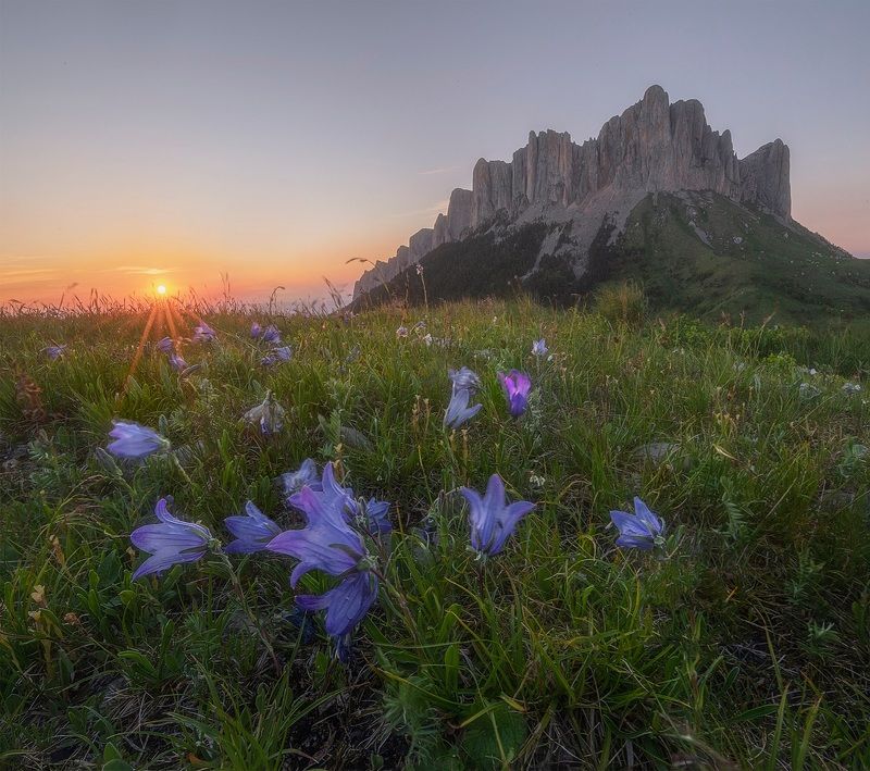 западный кавказ, большой тхач, колокольчик альпийский, закат, лето июнь Закат у подножия Большого Тхача фото превью