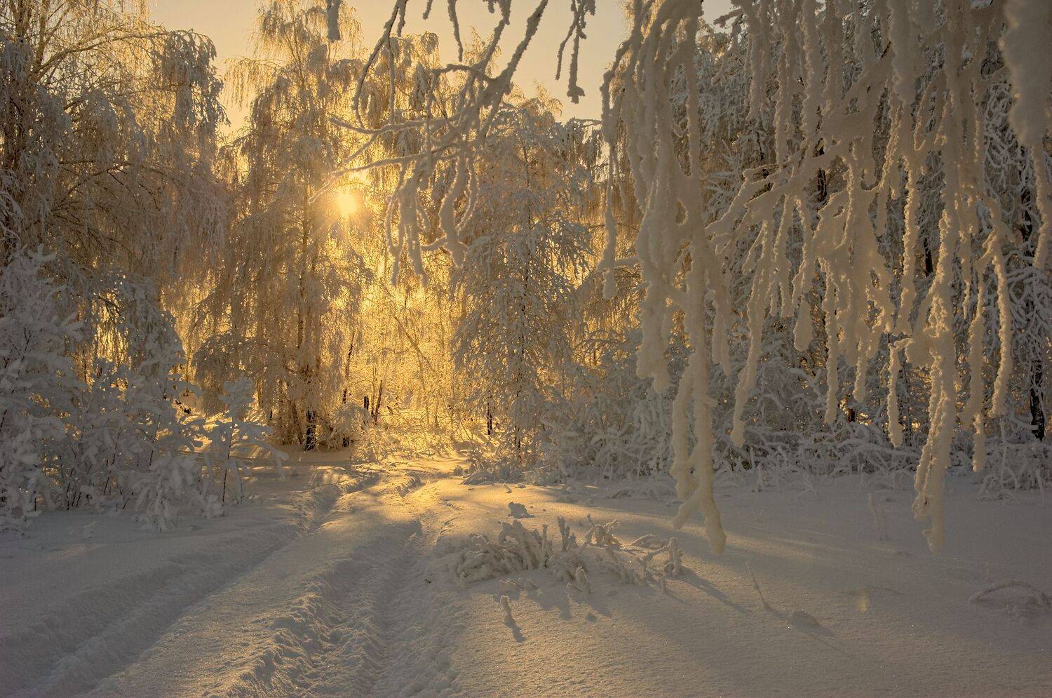 , Шустиков Дмитрий