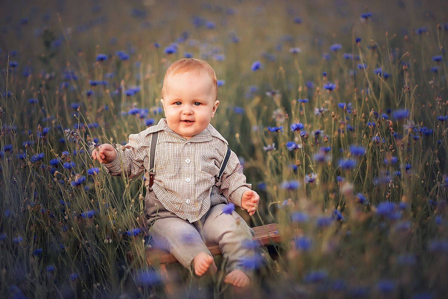 , Волкова Алена