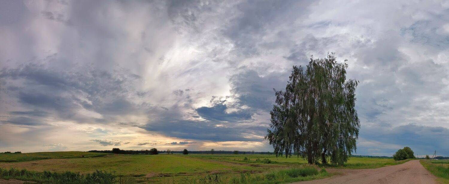 беларусь, вечер, деревня, дорога, июнь, лето, минск и окрестности, облака, поля, птичь, Вейзе Максим