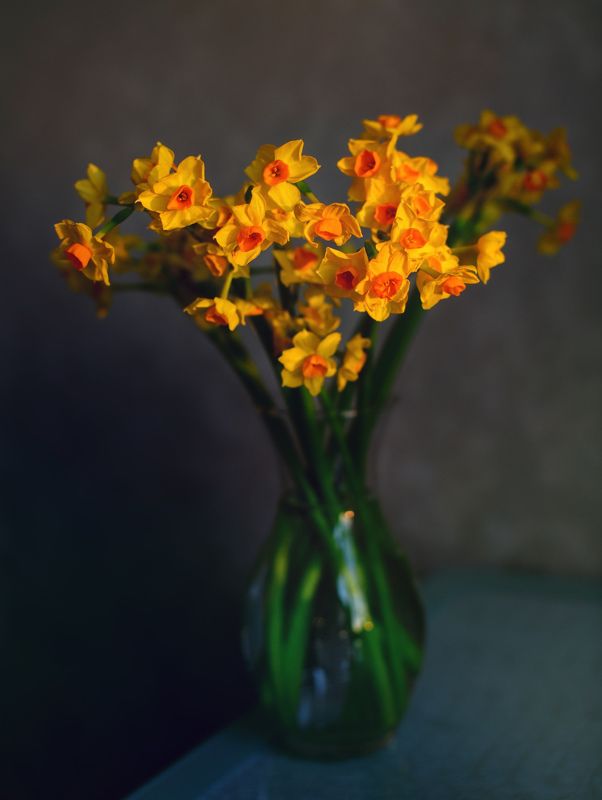 Evening\'s flowers фото превью