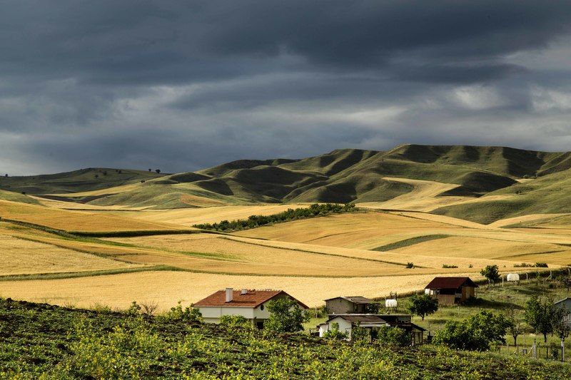 Tarlalar фото превью
