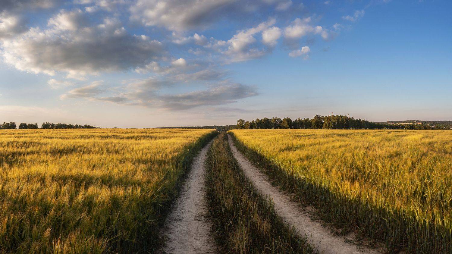 , Мозжухин Максим