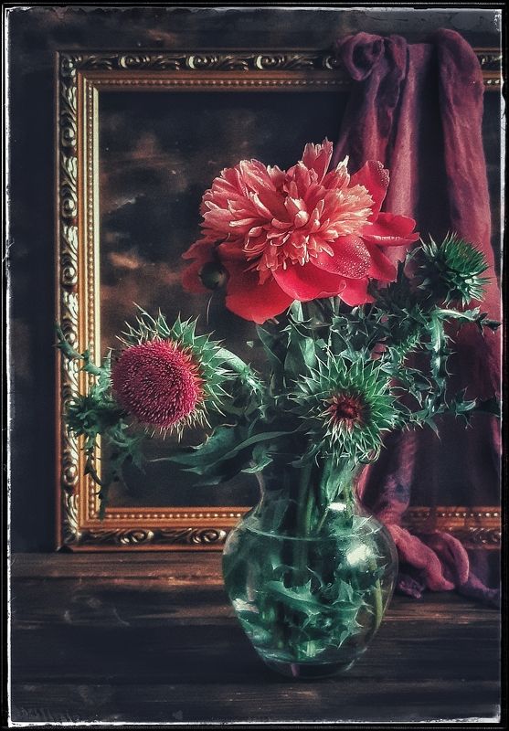 цветы Натюрморт с чертополохом. фото превью