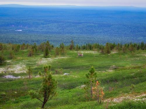 На северной горе