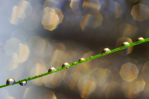 На фоне боке