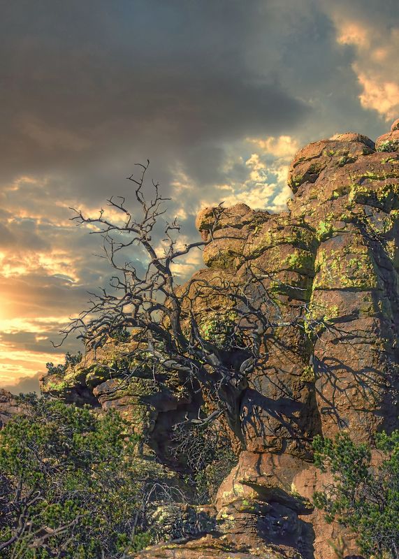 Вид фото превью